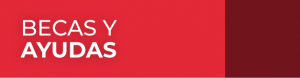 Ayudas y Becas